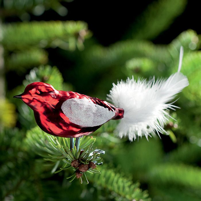 3 Lauschaer Weihnachtsamseln Rot